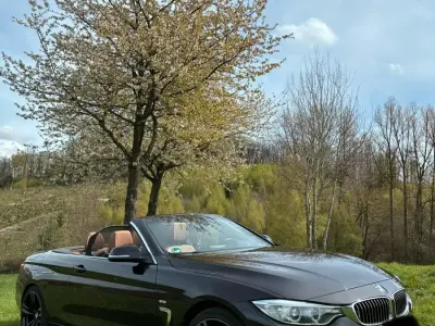 Gebraucht BMW 420 Luxury Line 184 PS (135 kW) 2014 Braun Cabrio