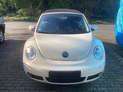 gebraucht VW Beetle New