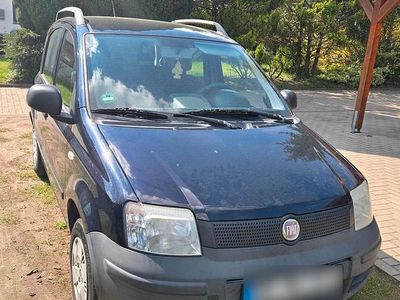 Second-hand Fiat Panda 54 CP (39 kW) 2010 Albastru Hatchback