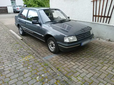 Gebraucht Peugeot 309 75 PS (55 kW) 1991 Grau Kleinwagen
