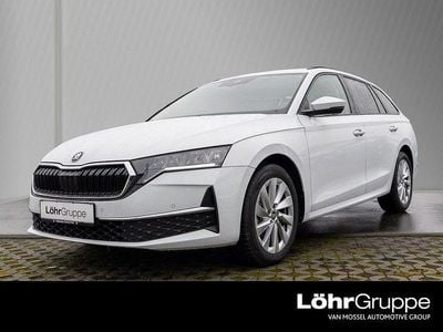 Gebraucht Skoda Octavia Selection 116 PS (85 kW) 2025 Moonweiss metallic Kombi