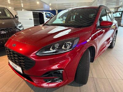 Gebraucht Ford Kuga ST-Line X 152 PS (111 kW) 2024 Rot SUV
