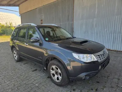 Gebraucht Subaru Forester