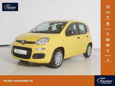 Gebraucht Fiat Panda Icon 69 PS (50 kW) 2025 Positano gelb Limousine