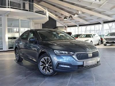 Gebraucht Skoda Octavia Clever 150 PS (110 kW) 2022 Grau Limousine