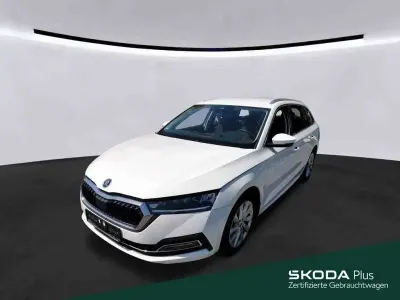 Gebraucht Skoda Octavia Style 150 PS (110 kW) 2024 Candyweiß Kombi