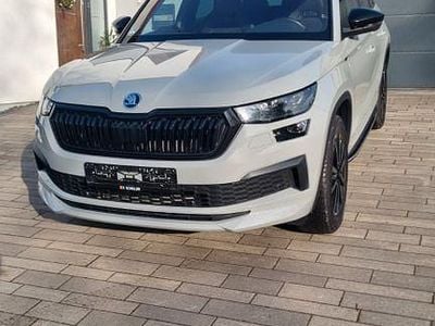 Grau Gebraucht 2024 Skoda Kodiaq SportLine SUV | 41.900 € (Fairer Preis)
