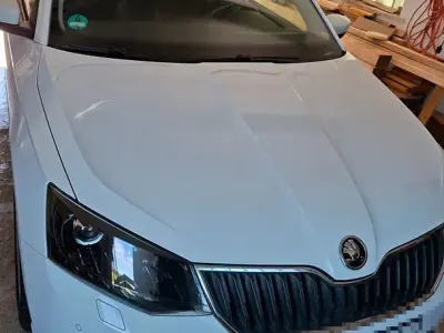 Gebraucht Skoda Fabia Joy 90 PS (66 kW) 2016 Weiß Limousine