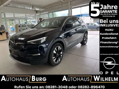 Gebraucht Opel Grandland X 131 PS (96 kW) 2019 Violet SUV