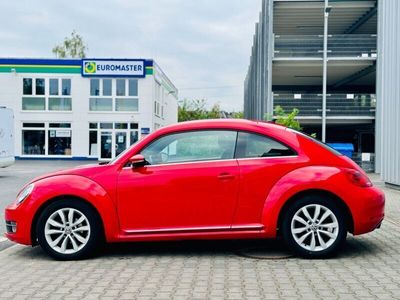 VW Beetle