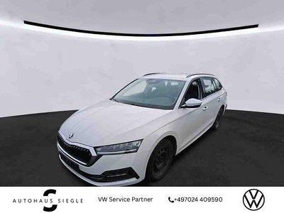 Gebraucht Skoda Octavia Ambition 116 PS (85 kW) 2023 Candyweiss Kombi