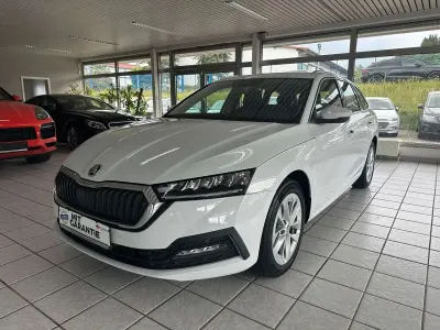 Gebraucht Skoda Octavia 150 PS (110 kW) 2024 Bila moon/moon white Kombi