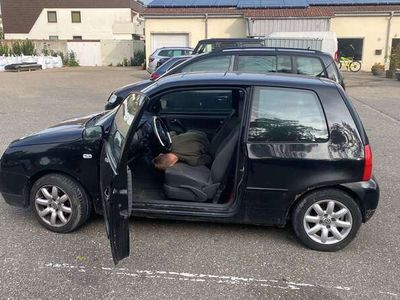 gebraucht VW Lupo 1.0 Oxford