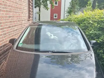 Gebraucht VW Golf IV 105 PS (77 kW) 2006 Schwarz Limousine