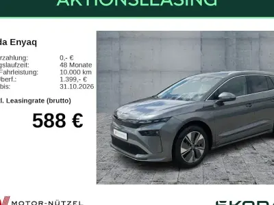 Neu Skoda Enyaq iV Selection 210 kW (286 PS) 2026 Grau SUV