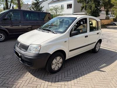 Gebraucht Fiat Panda Active 54 PS (39 kW) 2009 Weiß Kleinwagen