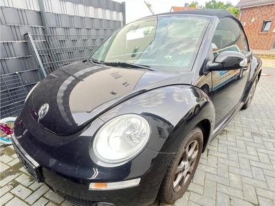 VW Beetle