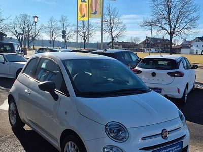 Gebraucht Fiat 500 69 PS (50 kW) 2023 Weiß Kleinwagen
