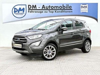 Gebraucht Ford Ecosport Titanium 125 PS (91 kW) 2019 Magneticgrau (metallic) SUV