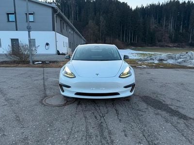 Gebraucht Tesla Model 3 Performance 377 kW (513 PS) 2021 Weiß Limousine