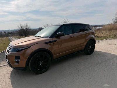 Gebraucht Land Rover Range Rover evoque Dynamic 241 PS (177 kW) 2014 Braun SUV
