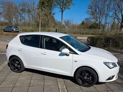 Gebraucht Seat Ibiza Style 86 PS (63 kW) 2014 Weiß Kleinwagen