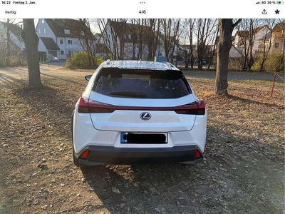 Gebraucht Lexus UX 250h 152 PS (111 kW) 2021 SUV