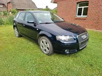 Gebraucht Audi A3 116 PS (85 kW) 2006 Blau Kleinwagen