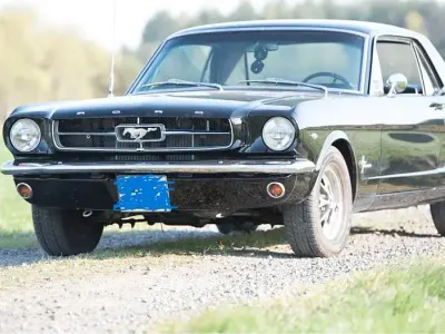 Gebraucht Ford Mustang 200 PS (147 kW) 1965 Schwarz