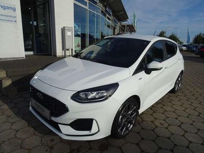 Gebraucht Ford Fiesta ST-Line 101 PS (74 kW) 2023 Frostweiß Kleinwagen