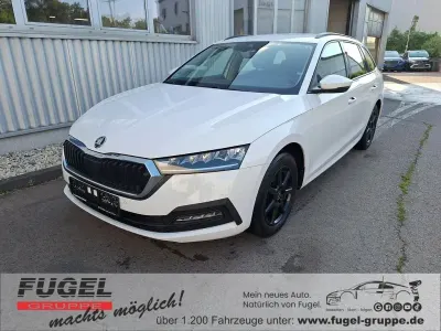 Gebraucht Skoda Octavia