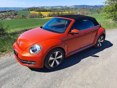 VW Beetle