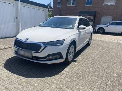 Gebraucht Skoda Octavia Style 116 PS (85 kW) 2023 Weiß Kombi