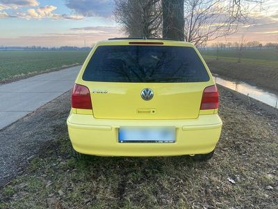 Gebraucht VW Polo Conceptline 60 PS (44 kW) 2000 Gelb Kleinwagen