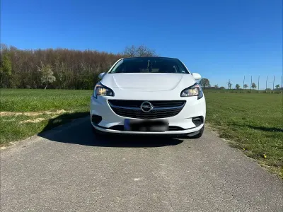 Usata Opel Corsa Edition 90 CV (66 kW) 2015 Bianco Utilitaria