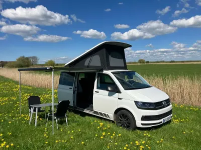 Gebraucht VW California
