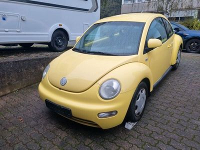 VW Beetle