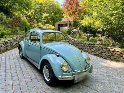 gebraucht VW Beetle Käfer, 1500, Schiebedach, AHK, Ablage