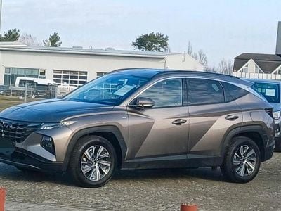 Gebraucht Hyundai Tucson Blackline 150 PS (110 kW) 2023 Braun SUV