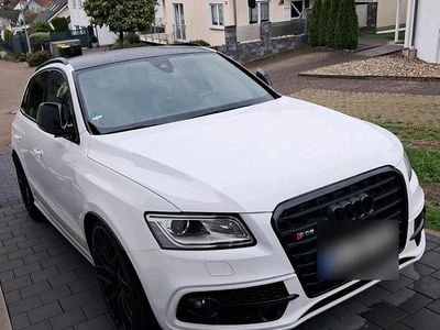 Usata Audi SQ5 340 CV (250 kW) 2015 Bianco SUV