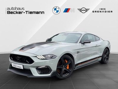 Grau Gebraucht 2021 Ford Mustang Fastback | 47.891 € (Teuer)