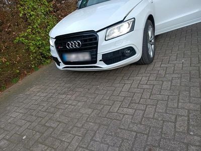 Usata Audi SQ5 Comfort 311 CV (228 kW) 2014 Bianco SUV