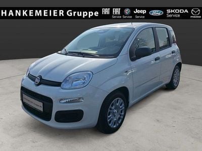 Neu Fiat Panda Icon 65 PS (47 kW) 2026 Weiß Kleinwagen