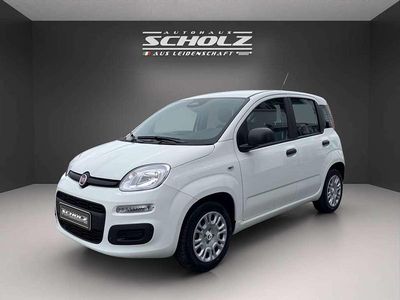 Neu Fiat Panda Pop 65 PS (47 kW) 2026 Gelato weiß Kleinwagen
