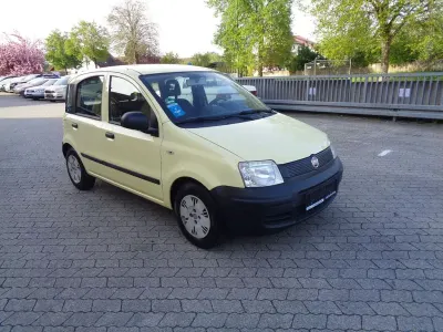 Usata Fiat Panda Active 54 CV (39 kW) 2010 Giallo Utilitaria