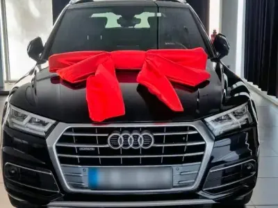 Gebraucht Audi Q5 Premium 190 PS (139 kW) 2019 Schwarz SUV