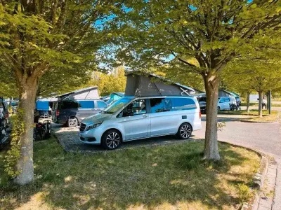 Gebraucht Mercedes V250