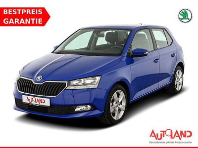 Blau Gebraucht 2021 Skoda Fabia Kleinwagen | 15.990 € (Fairer Preis)