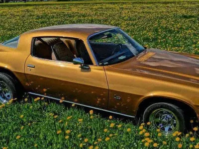 Gebraucht Chevrolet Camaro 170 PS (125 kW) 1977 Gold Coupé