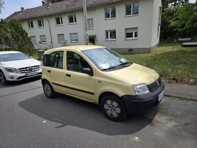 Usata Fiat Panda Active 54 CV (39 kW) 2008 Beige Utilitaria